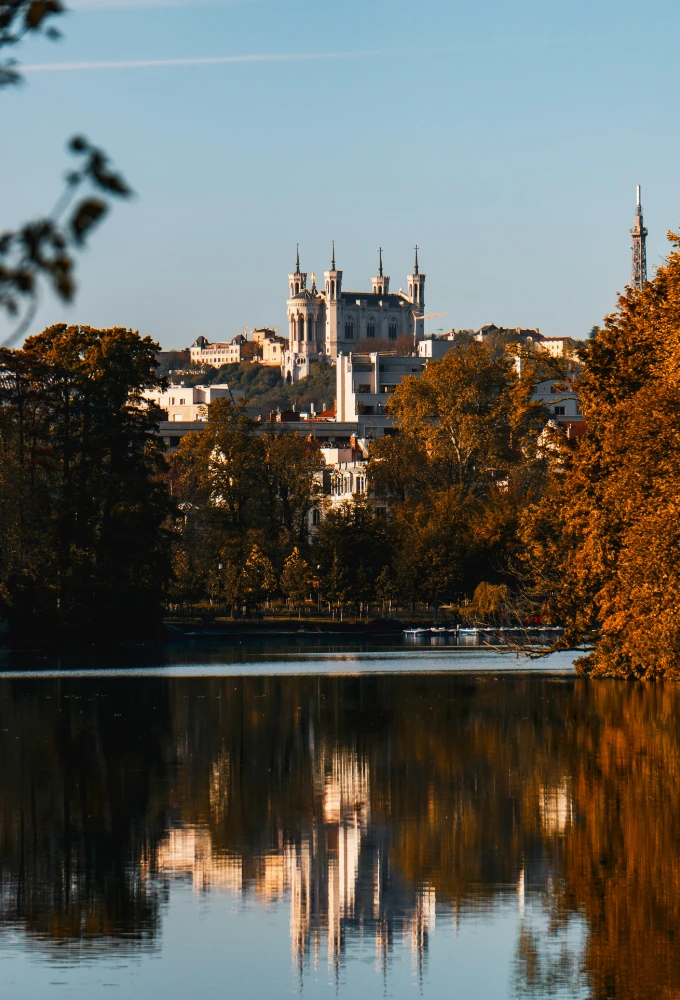 ArtFlow enchères, maison de ventes aux enchères à Lyon