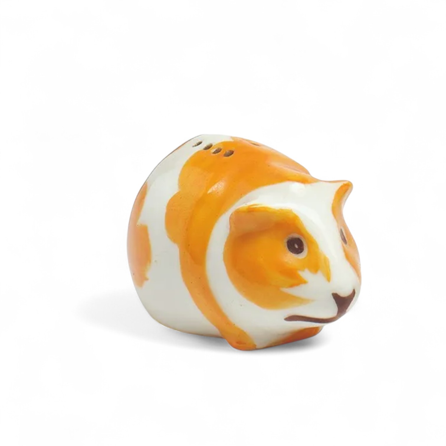 Cochon d'Inde Haviland Sandoz