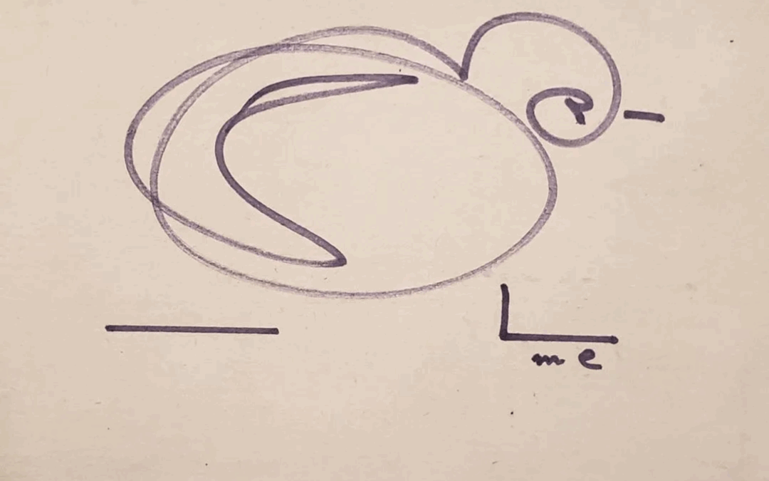 Tout savoir sur l’Estimation d’une oeuvre de Max Ernst (Guide Complet 2025)