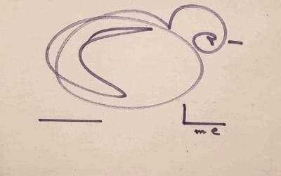 Tout savoir sur l’Estimation d’une oeuvre de Max Ernst (Guide Complet 2025)