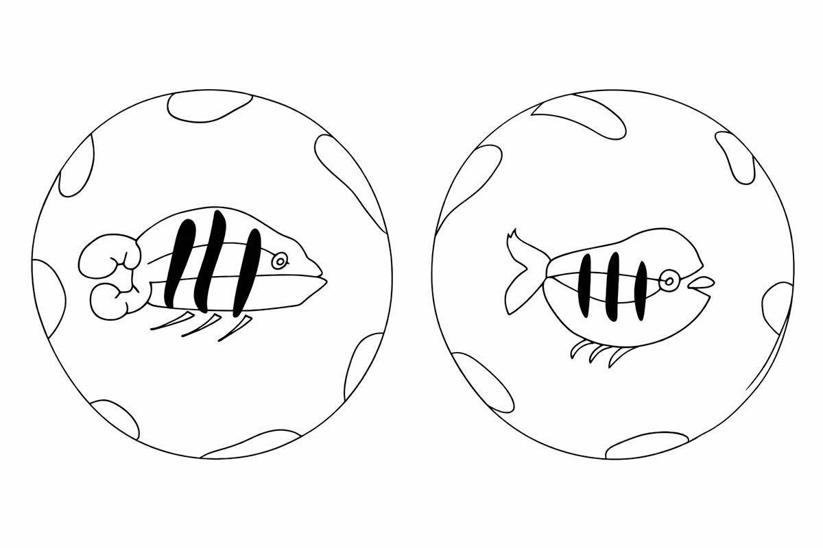 Service Poissons de Pablo Picasso