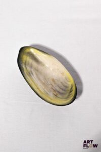POL CHAMBOST (1906-1983) Coupe 1026 "Coquillage" en faience émaillée à couverte polychrome, l'intérieur dans les tons jaune et nacre, l'extérieur noir. Incisé "1056" et monogrammé "PC". 19,5 x 10 x 4 cm Bibliographie : Philippe Chambost, "Pol Chambost, Sculpteur-Céramiste 1906-1983", Somogy Editions d'Art, Paris, 2006, modèle similaire p. 80
