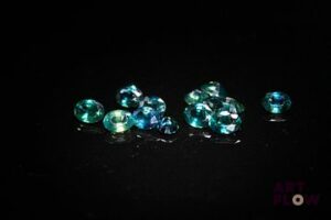 Treize saphirs ovales. 3.04 cts. Dims. moy.: 4.0mm x 3.0mm