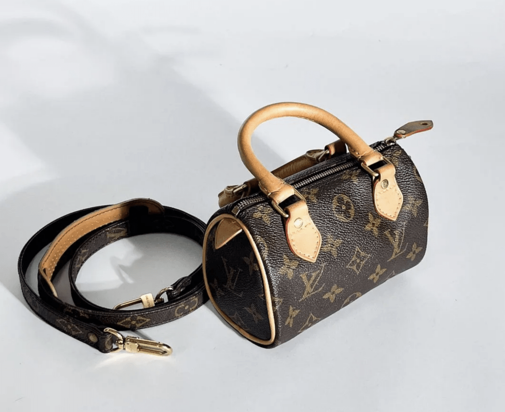 Louis Vuitton, Nano speedy