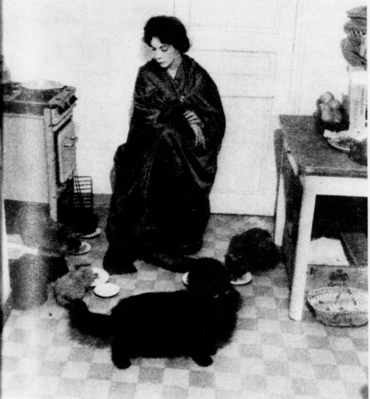 Leonor Fini et ses chats, Annabelle, 1er février 1955