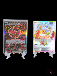 Réunion de 2 cartes Pokemon : Plumeline ex 024 et Evoli ex 174 Diverses séries et raretés En français Sous sleeves et toploaders Etat global near mint