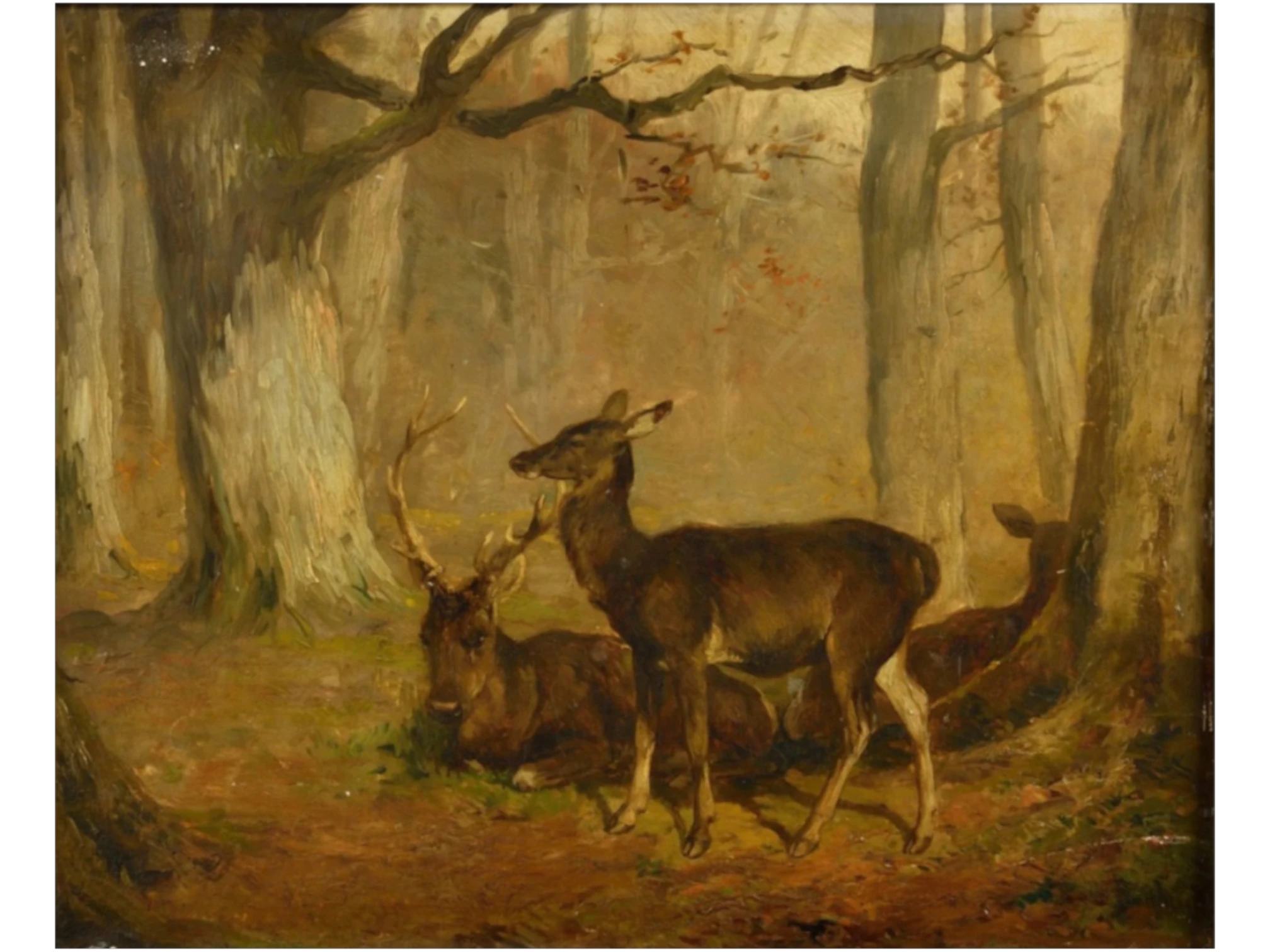 Bonheur, Rosa, Biches et cerf dans la forêt, huile sur panneau