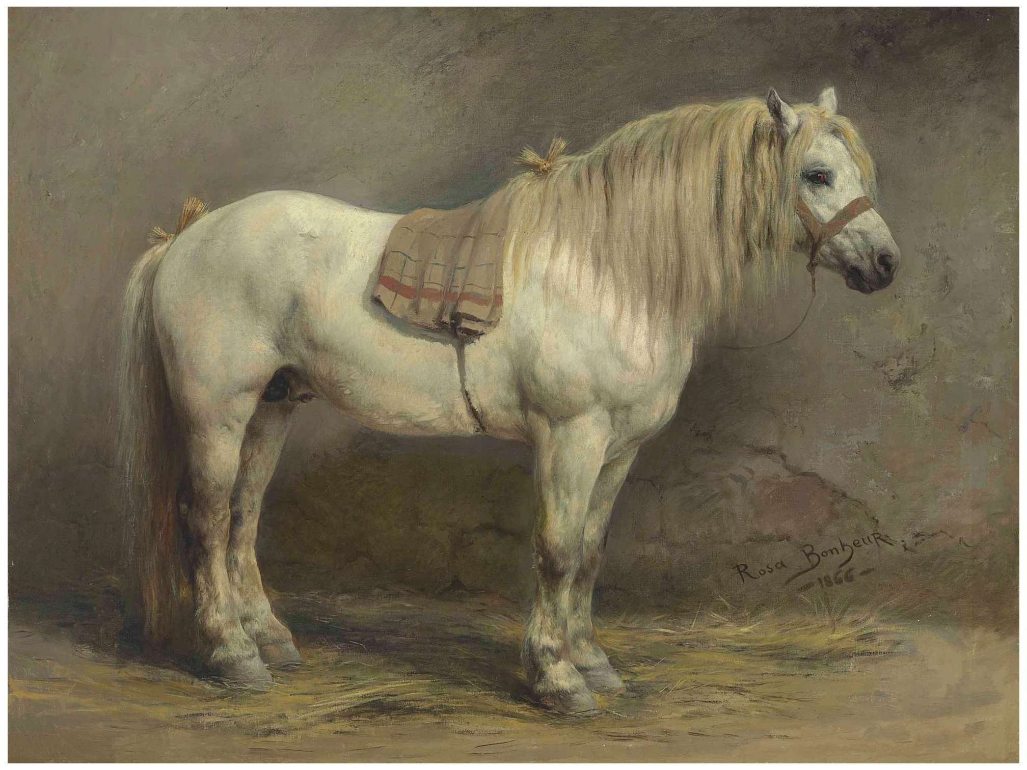 Bonheur, Rosa, Cheval blanc, huile sur toile