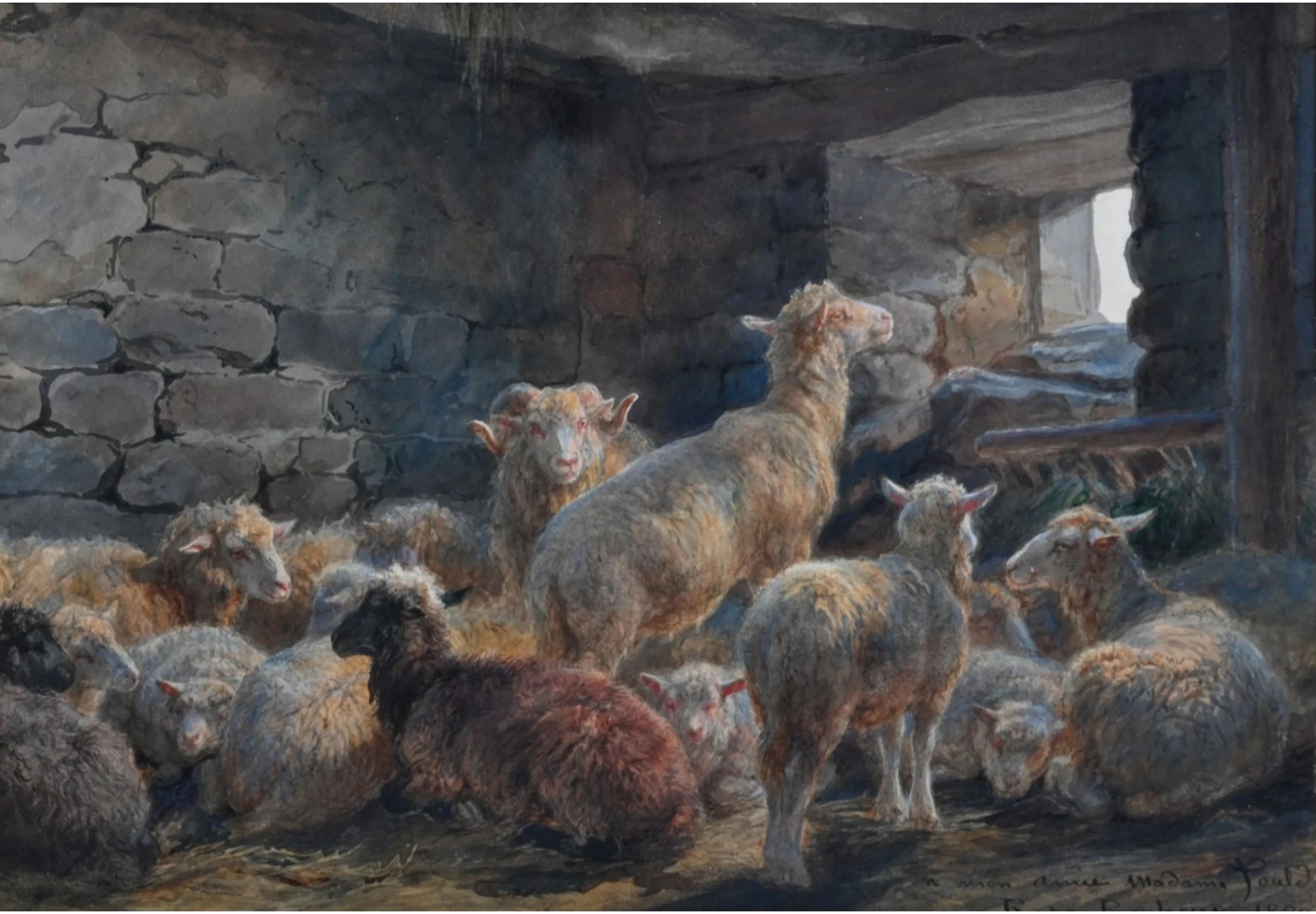 Bonheur, Rosa, Moutons et bélier dans une bergerie, aquarelle et gouache sur papier
