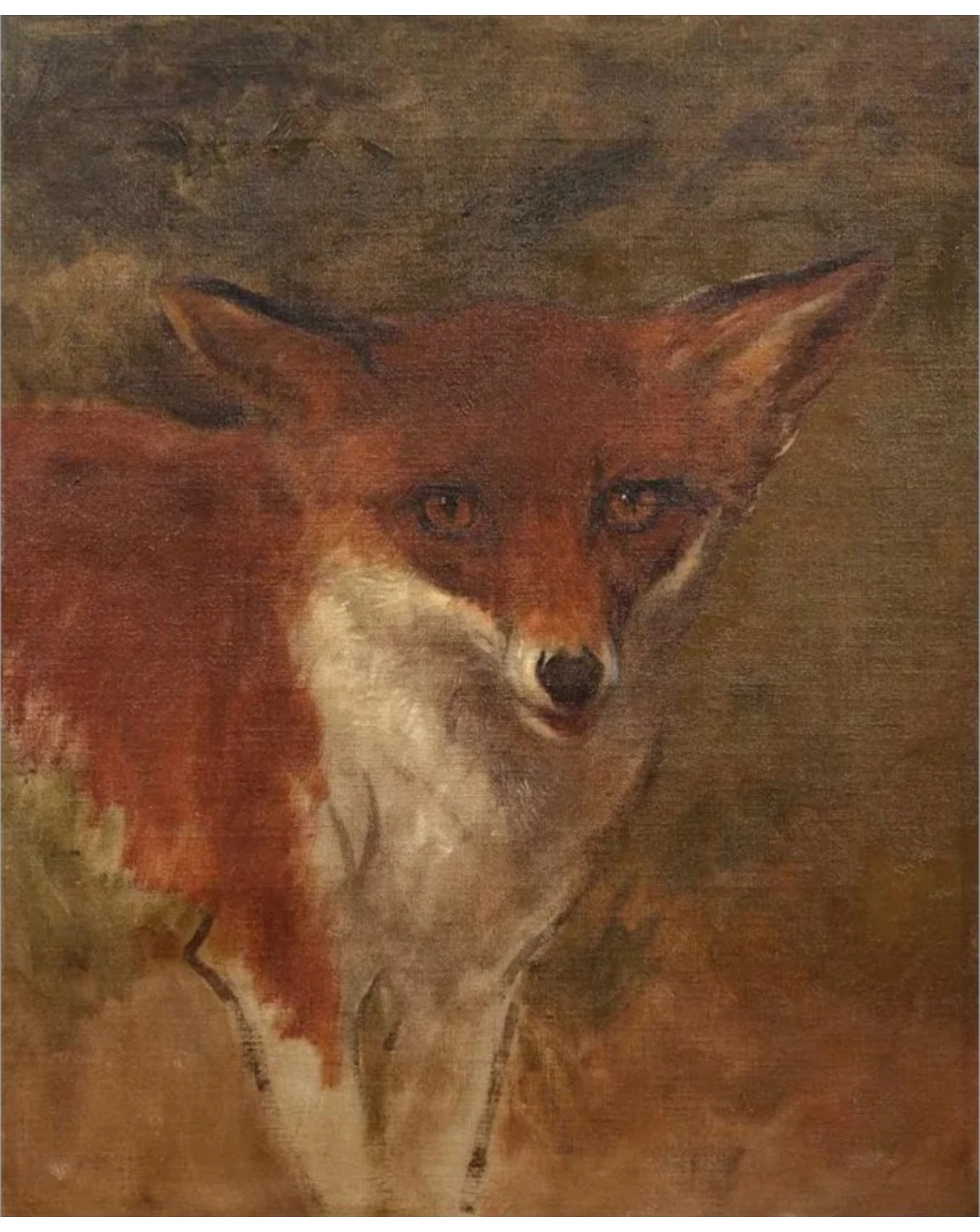 Bonheur, Rosa, Tête de renard, huile sur toile