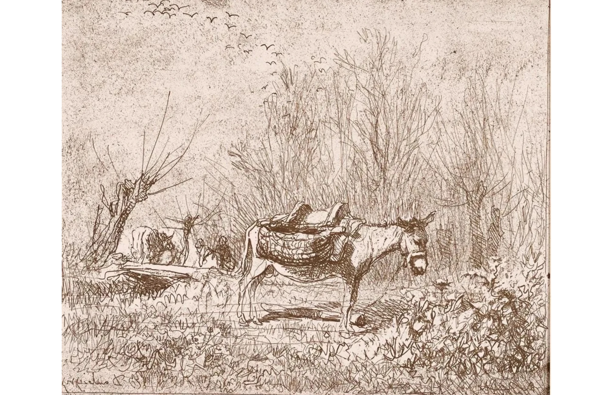 Daubigny, Charles-François, L'âne au pré, cliché-verre