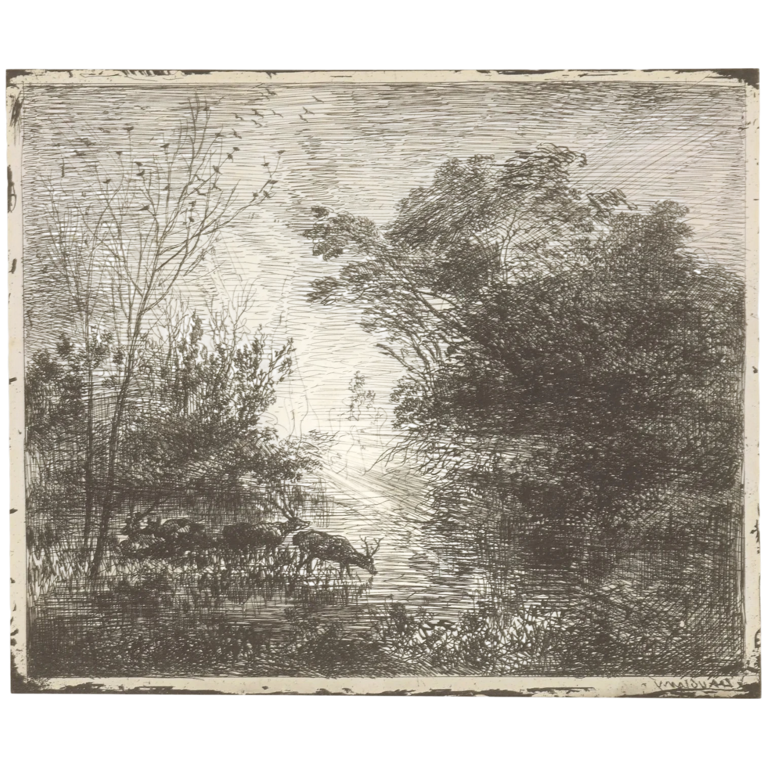 Daubigny, Charles-François, Les cerfs, cliché-verre