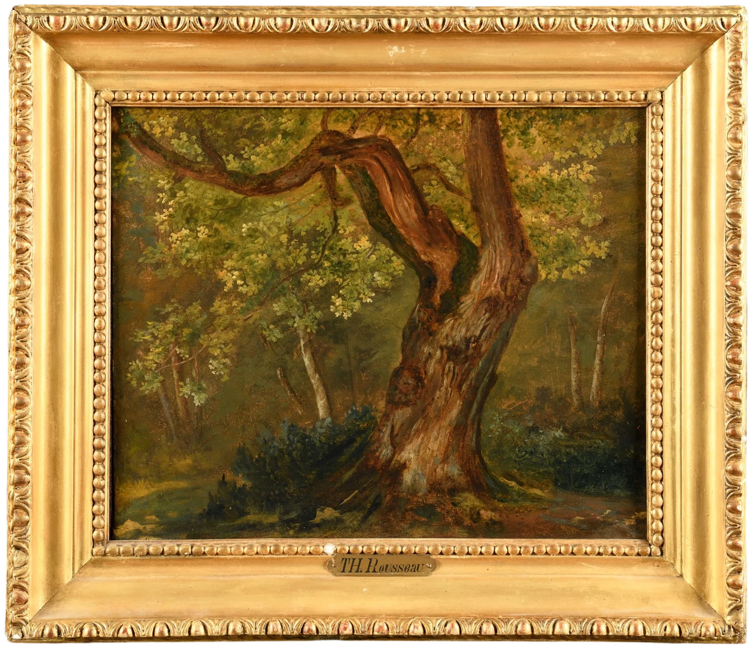 Rousseau, Théodore, Etude d'arbre, huile sur papier marouflé sur toile