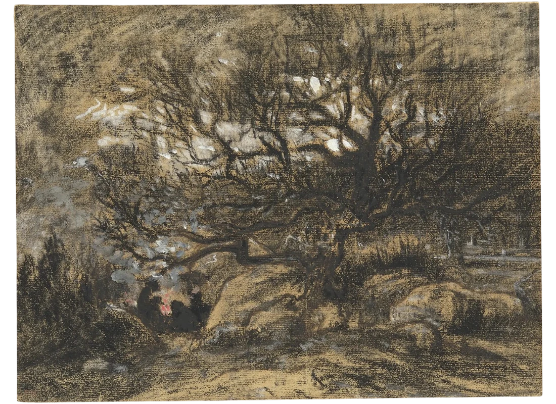 Rousseau, Théodore, Forêt de Fontainebleau, bûcheron se chauffant, dessin au fusain et estompe rehaussé de gouache et d'encre sur papier marouflé sur toile